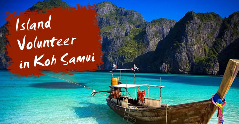 Island Volunteer Thailand