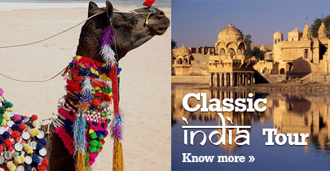 Classic India Tour