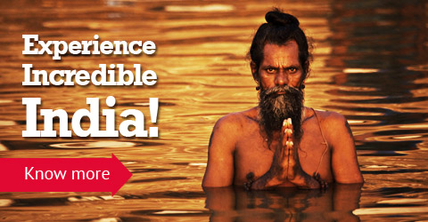 Incredible India Holidays