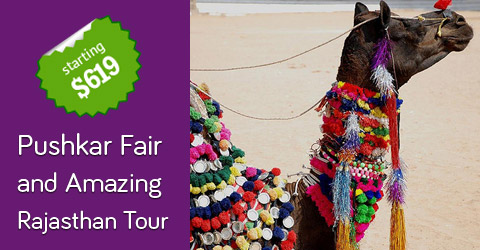 Pushkar Fair Tour
